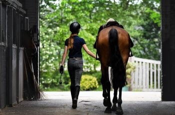 A Beginner's Guide To Horse Racing Accessories - Horseyard.com.au