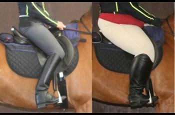 Landmark pilot study addresses effects of rider weight on equine performance - Horseyard.com.au