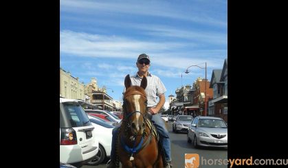 Best horse ever on HorseYard.com.au
