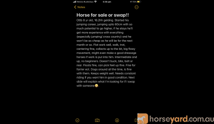 Horse for sale or swap on HorseYard.com.au