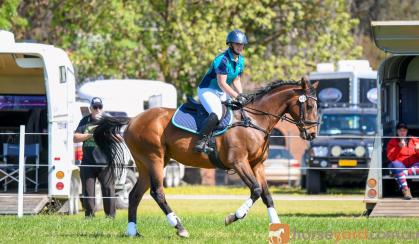 Show jumping Thoroughbred on HorseYard.com.au