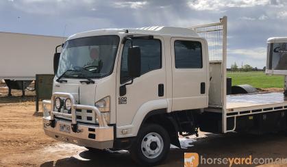 2011 Isuzu Dual Cab Truck FRR600 on HorseYard.com.au