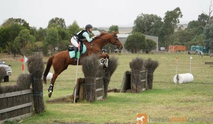 BEEN THERE DONE THAT EVENTER  on HorseYard.com.au