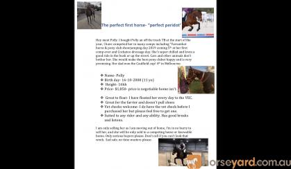 “Perfect peridot “ on HorseYard.com.au