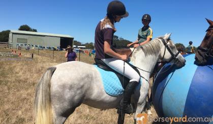 Super Pony Club/Interschools  Pony on HorseYard.com.au