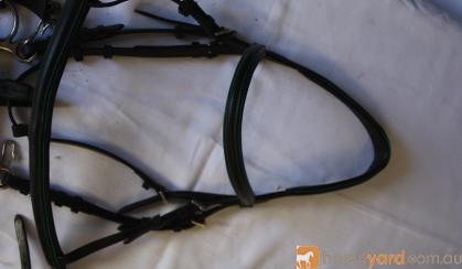 Black Longma Bridle on HorseYard.com.au