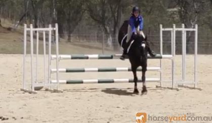 Showjumping school mistress - BERRIVALE sky blue on HorseYard.com.au