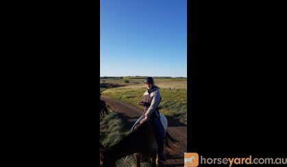 Pepper- Appaloosa teen's mount on HorseYard.com.au