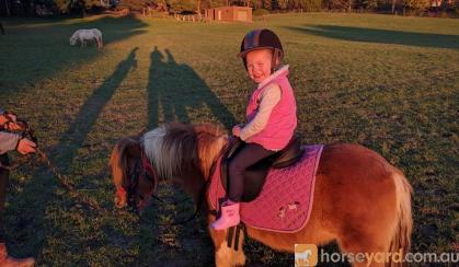 Two Sweet Kids Ponies  on HorseYard.com.au