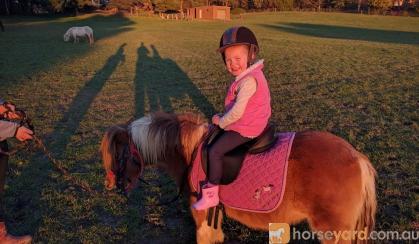 Two Sweet Kids Ponies  on HorseYard.com.au