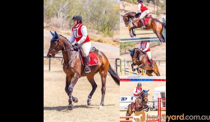 POTENTIAL PLUS EVENTING PROSPECT on HorseYard.com.au