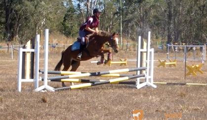 Competitive childs mount- Jump, event, dressage, show on HorseYard.com.au