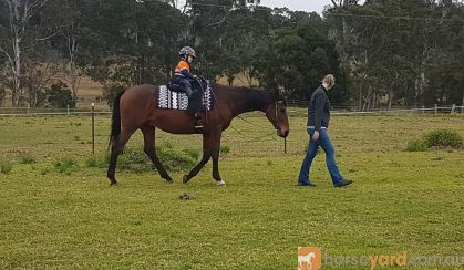 Trail riding  on HorseYard.com.au