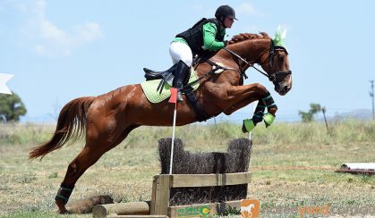 Perfect teenagers project eventer  on HorseYard.com.au