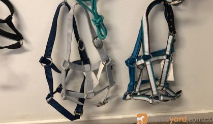 Headstalls on HorseYard.com.au