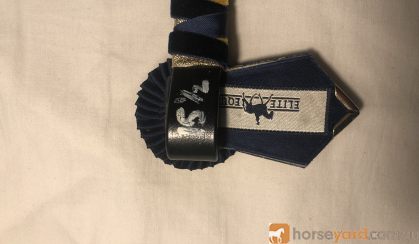 Navy Blue and Yellow Browband (15.5 inch) - Elite Equine on HorseYard.com.au