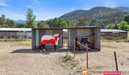 Horse Property On 15 Acres With Cute Cottage And A Pool  on HorseYard.com.au