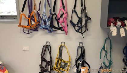 Headstalls on HorseYard.com.au