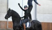 Fantastic Friesian mare horse . on HorseYard.com.au