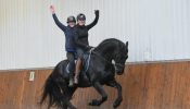 Big Beginner Friendly Friesian . on HorseYard.com.au