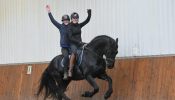 Super sweet Humble gelding horse .  on HorseYard.com.au