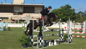 Beautiful Moving Showjumper on HorseYard.com.au