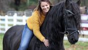 Best Friesian Mare . on HorseYard.com.au