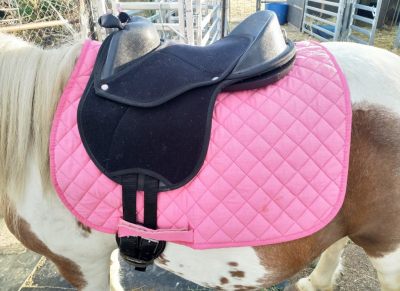 Mini Pony Saddle / Bridle / Helmet Pack on HorseYard.com.au