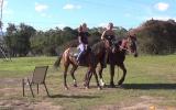 Quiet Aust Stock Mare + VIDEO+ on HorseYard.com.au (thumbnail)