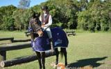 Proven Schoolmaster on HorseYard.com.au (thumbnail)