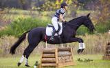 Intro Eventer/80cm SJ on HorseYard.com.au (thumbnail)