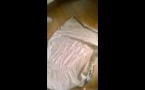 Kool Coat size L cotton neck rug with satin lining on HorseYard.com.au (thumbnail)