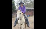 Alrounder welsh pony  on HorseYard.com.au (thumbnail)