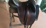 Leather saddle suit pony on HorseYard.com.au (thumbnail)