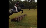 15hh Appy Mare 18yo on HorseYard.com.au (thumbnail)