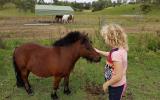 Miniature Pony on HorseYard.com.au (thumbnail)