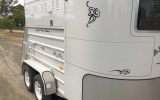 Rowville Traveller on HorseYard.com.au (thumbnail)