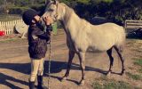 Dapple grey riding pony  on HorseYard.com.au (thumbnail)