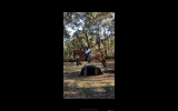 Lovely ISH Allrounder For Sale  on HorseYard.com.au (thumbnail)