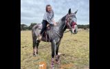 Country Scene Saddlery Custom Saddles on HorseYard.com.au (thumbnail)