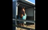 'Autumn' 4yo chestnut Thoroughbred mare on HorseYard.com.au (thumbnail)