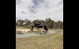 Showjumping school mistress - BERRIVALE sky blue on HorseYard.com.au (thumbnail)