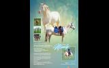 Stunning Cremello Filly on HorseYard.com.au (thumbnail)