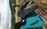 Kent & Masters 17” Dressage Saddle S Series on HorseYard.com.au (thumbnail)