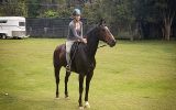 Gorgeous TB Gelding on HorseYard.com.au (thumbnail)