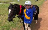 Small Pony Club Allrounder on HorseYard.com.au (thumbnail)