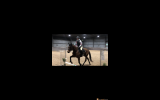 “Perfect peridot “ on HorseYard.com.au (thumbnail)