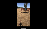 Quiet OTT Gelding  on HorseYard.com.au (thumbnail)