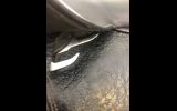 Wow Edge Dressage Saddle on HorseYard.com.au (thumbnail)