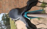 Kent & Masters 17” Dressage Saddle S Series on HorseYard.com.au (thumbnail)